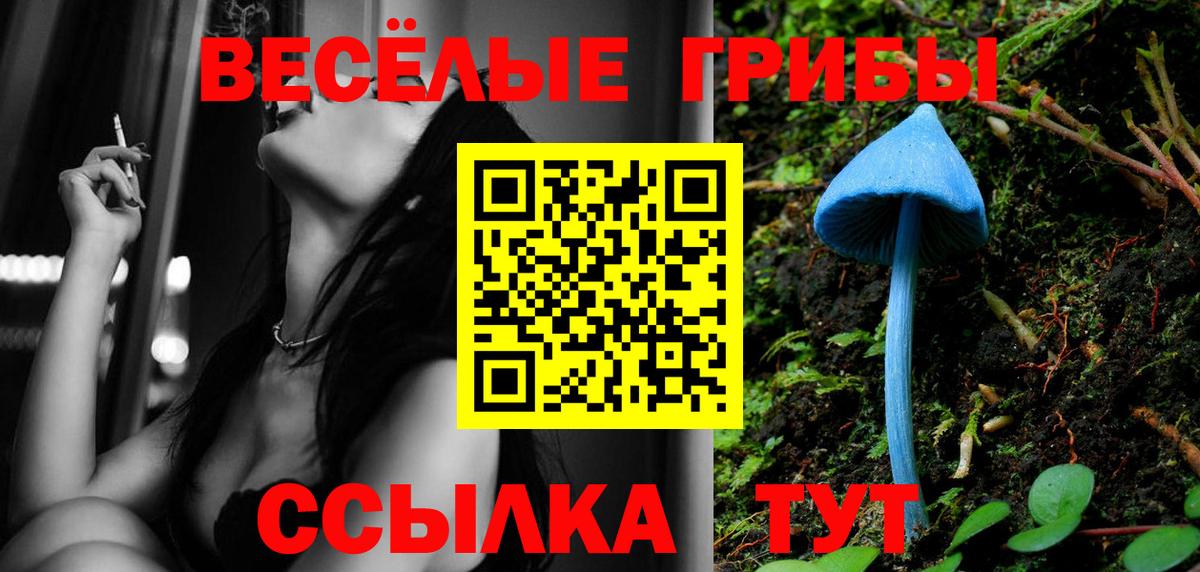 Нововоронеж  даркнет сайт  Вход с VPN  Галлюциногенные грибы GOLDEN TEACHER 